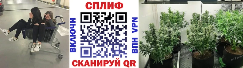 Купить наркотик Димитровград блэк спрут tor  МЕФ  ГАШИШ  БУТИРАТ  Cocaine  Галлюциногенные грибы 