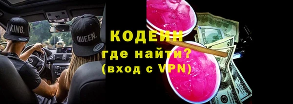 индика Снежногорск
