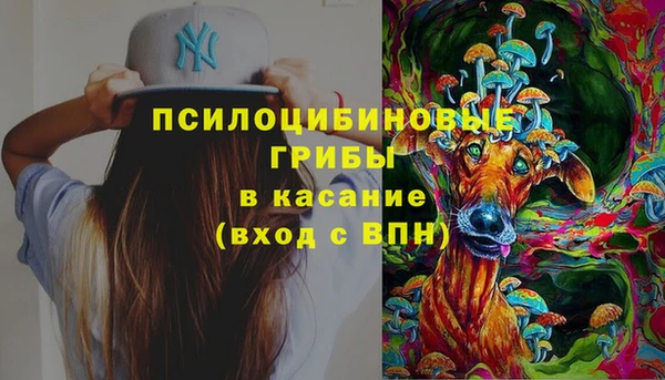 индика Снежногорск
