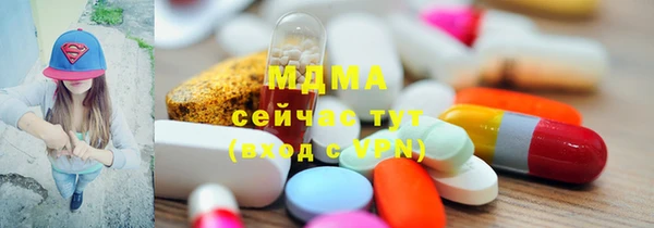 прущие грибы Дмитриев