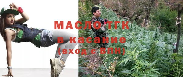 индика Снежногорск
