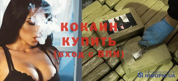 прущие грибы Дмитриев