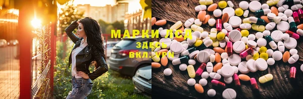 индика Снежногорск