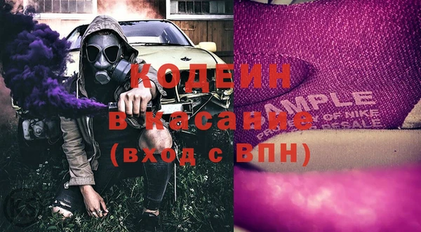 прущие грибы Дмитриев