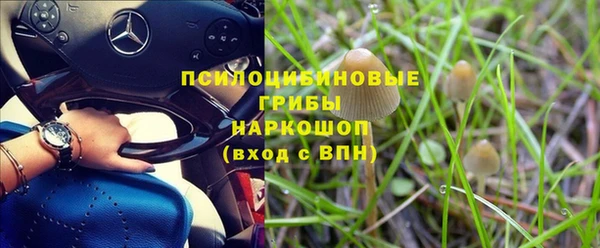 а пвп мука Елабуга