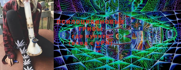 прущие грибы Дмитриев